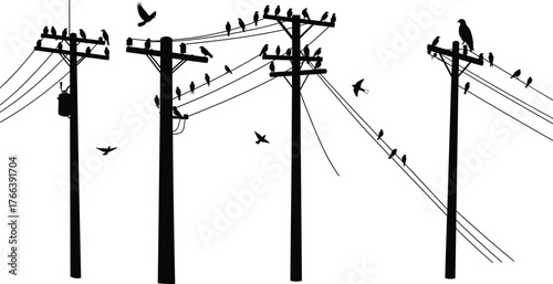 Birds perched on electric power lines and utility poles, black silhouette illustration showing urban wildlife, flying birds, and electricity connection
