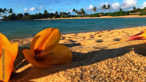 Kokia Cookei flowers on the beach and small waves