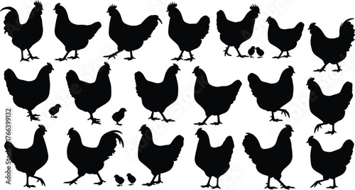 Tableau sur toile Chicken and chick silhouette set, black poultry vector, farm animal poses, walki