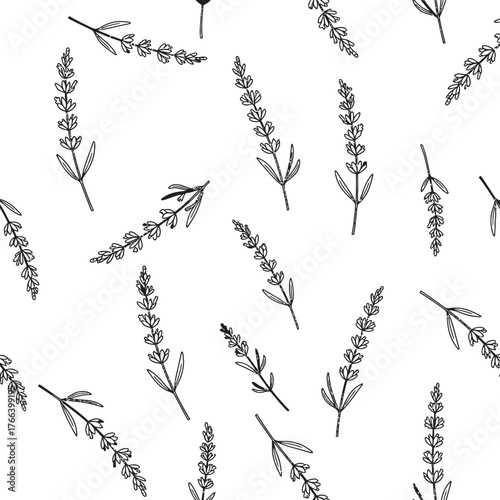 Elegant hand drawn botanical illustration of lavender sprigs in a seamless repeating pattern on a white background