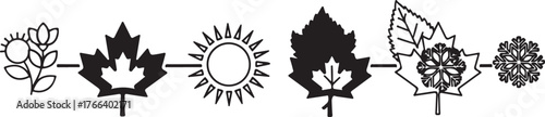 Vector art of canadian symbols representing seasons flower, maple leaf, sun, autumn leaf, snowflake, icon on