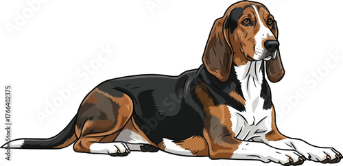 Estonian Hound dog lying down alert relaxed vector illustration