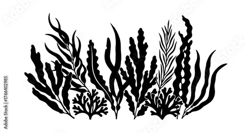 Stylized silhouette of diverse underwater seaweed and kelp in black and white