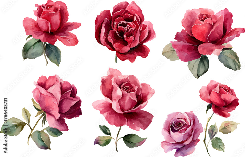 Naklejka premium bouquet of roses