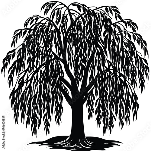 Black silhouette of a willow tree with long hanging branches. Ideal for nature and wellness designs, meditation themes, poetic artwork, eco branding, minimalist logos, and calm landscape illustrations