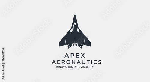 Minimalist Apex Aeronautics logo with a top down jet silhouette.