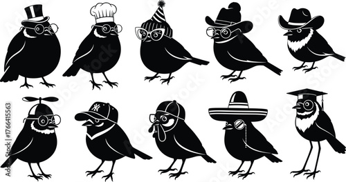 Cartoon bird silhouettes with hats and accessories, funny animal characters, creative costume illustration, cultural symbols, playful design, vector art collection