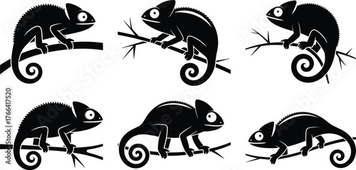 Chameleon silhouette vector set, reptile animal on branch, black lizard icon, wildlife illustration for nature, jungle, forest, zoo themes