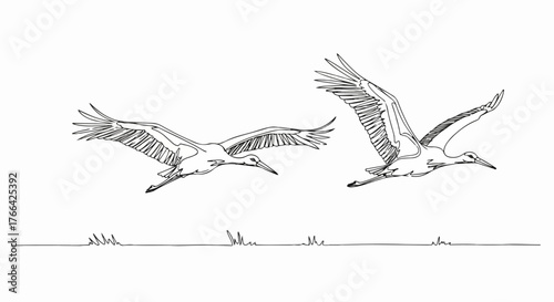Cranes flying in formation minimalist line art, graceful nature composition.