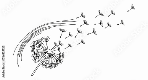 Dandelion seeds flying in wind minimalist botanical line art design.