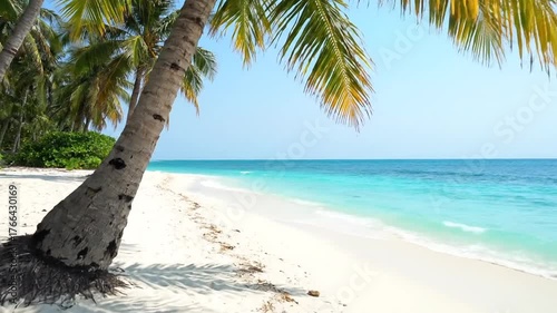Tropical Beach Scenery with Palm Trees White Sand Turquoise Water and Clear Blue Sky in Exotic Paradise Destination Under Bright Sunlight on Sunny Day