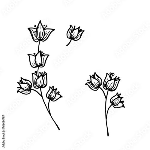 Twigs with flowers and leaves, black and white sketch. Vector illustration. Set of spring wildflowers, simple pattern, isolated on white background. For printing on textile, invitations, greeting card