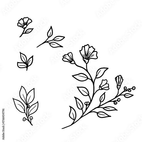Graceful twigs black and white sketch. Vector illustration. Floral botanical drawing, set of silhouettes isolated on white background. For postcards, wedding invitations, advertising and blog design