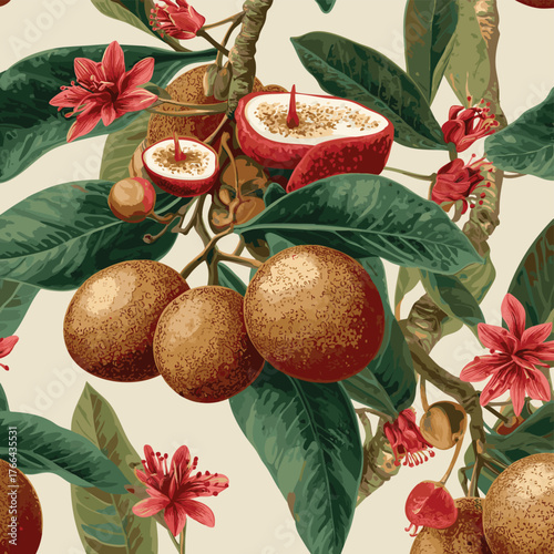 Naseberry sapodilla slices fruits seamless botanical pattern vector illustration