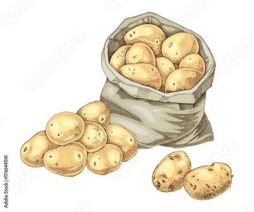 Sack of potatoes hand drawn vector