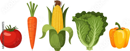 Fresh Vegetables Collection Tomato Carrot Corn Lettuce Bell Pepper