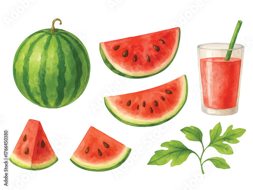 Watercolor illustration of watermelon elements
