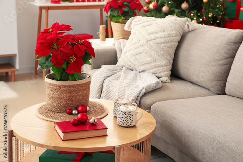 Christmas flower poinsettia...