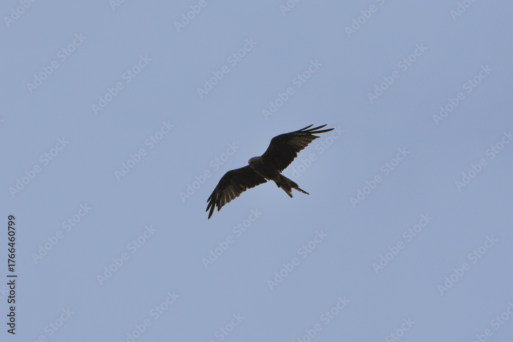 Obraz premium Découverte du Pays Basque 