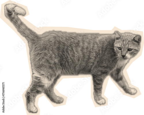 Cat head halftone collage sticker, Cut out y2k pop design element.