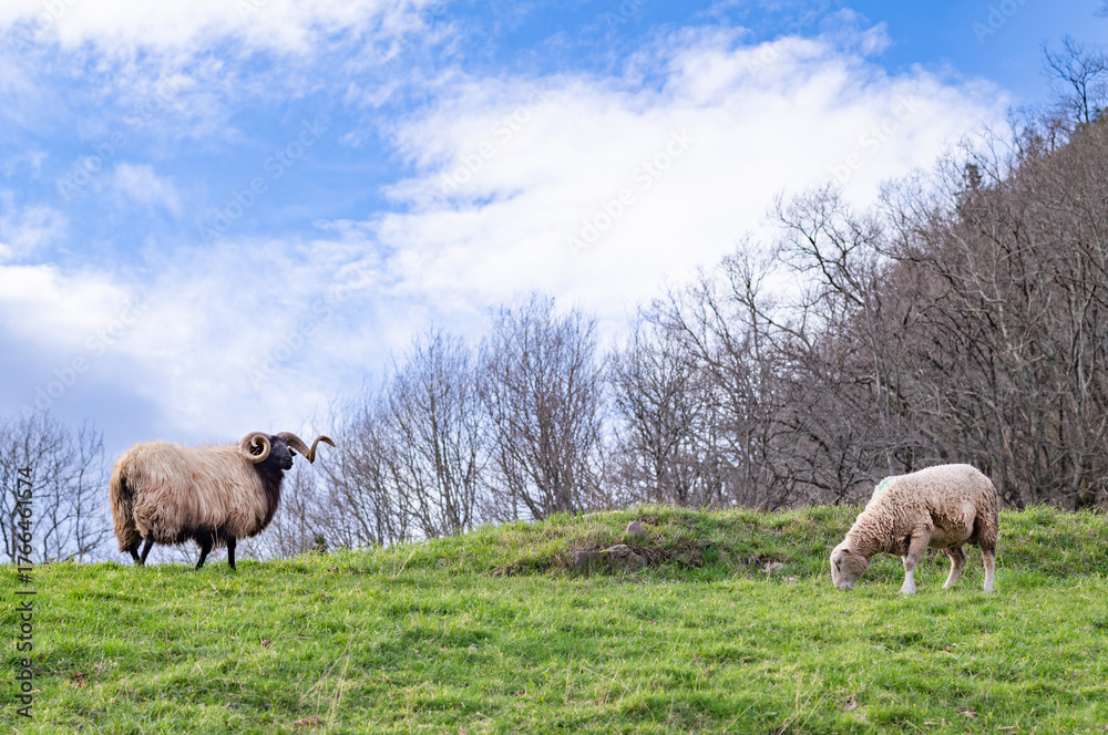 Obraz premium Découverte du Pays Basque