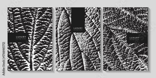 Set of luxury templates with leaf epidermis. Black and white leaf print texture. Botanical posters. Leaf veins
