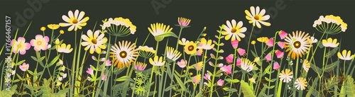 Meadow wildflower cartoon border with bouquet bunch of wild summer blossoms. Spring bush groove decoration, meadow flowers banner. Botanical floral illustration on white background