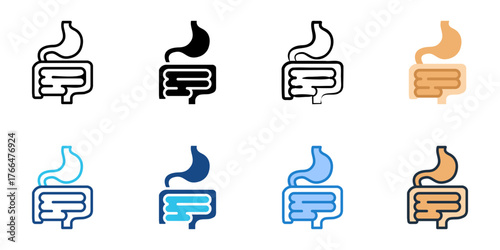 Digestive system icon set multiple style collection 
