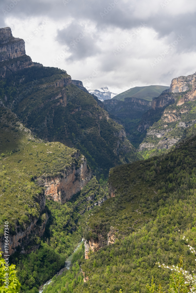 Obraz premium tree lined rock outrcrops and glacial formations, gorges and canyons in mountains, Spain