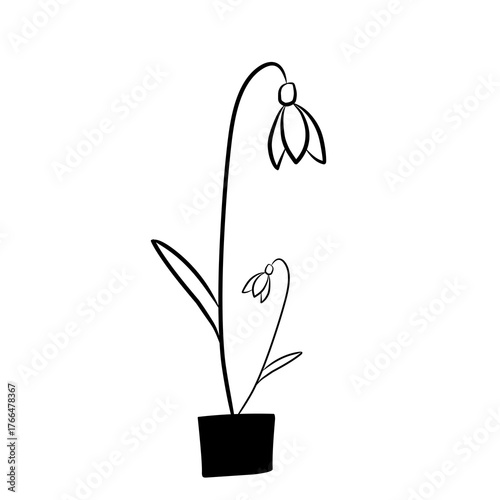 black and white flower vector illustration of a plant
