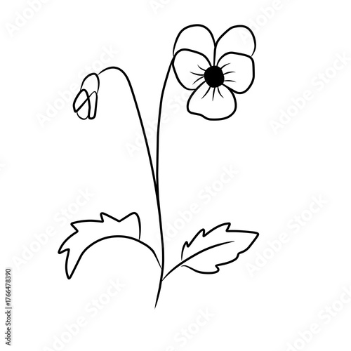 black and white flower vector illustration of a plant