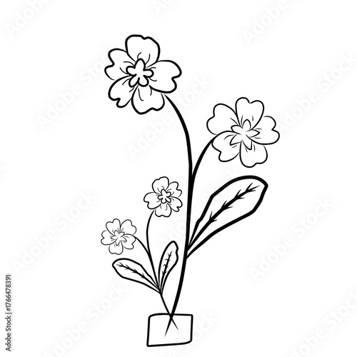 black and white flower vector illustration of a plant