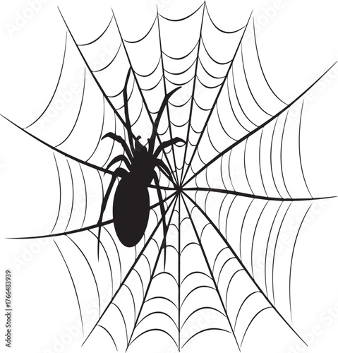 spider on web silhouette vector