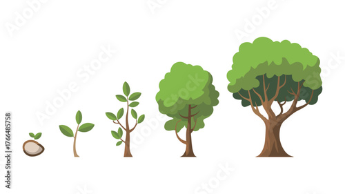 Illustration of a tree s life cycle from seed to mature plant growth stages