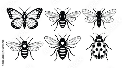 Collection of six hand drawn black and white insect illustrations including butterflies bees and ladybugs