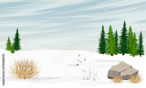 An Arctic fox sits in the snow in a valley in front of a spruce forest. The fox is hunting. Realistic vector landscape.