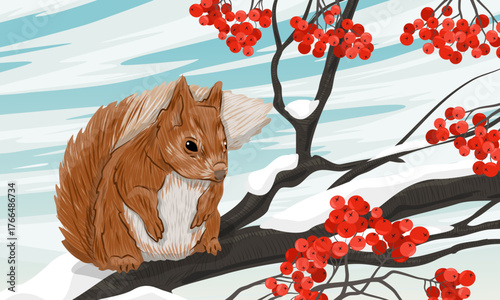 A European squirrel sits on a snow-covered rowan branch with ripe red berries. Realistic vector landscape.