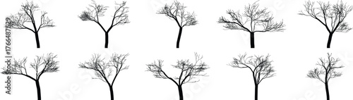 Collection of detailed black and white tree silhouettes against