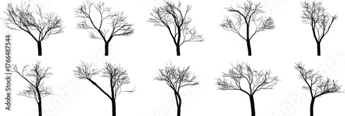 Collection of black and white silhouette bare winter trees scattered across a