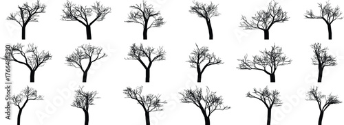 Collection of bare winter trees silhouettes diverse shapes and branches nature botany flora
