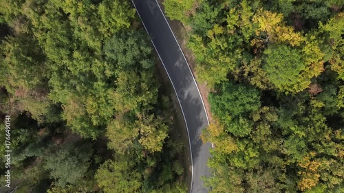 vista aerea con drone di strada tortuosa in bosco in toscana