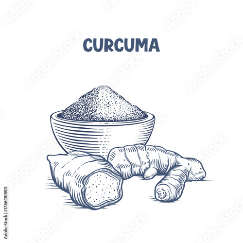 Vector illustration of curcuma or turmeric root and powder in engraving style