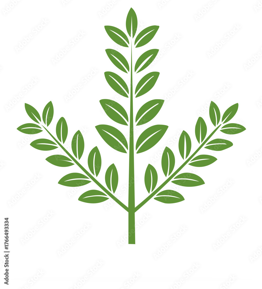 Fototapeta premium Green botanical illustration of a leaf with branches in a symmetrical design.