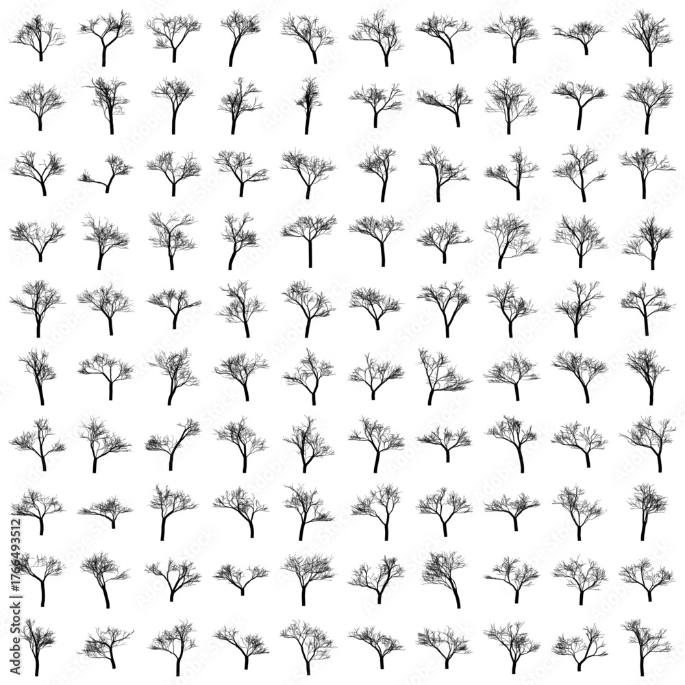 Fototapeta premium Vector art of collection of diverse deciduous trees in silhouette, , showcasing various branch structures and forms