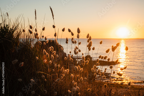 Foto Coucher de soleil