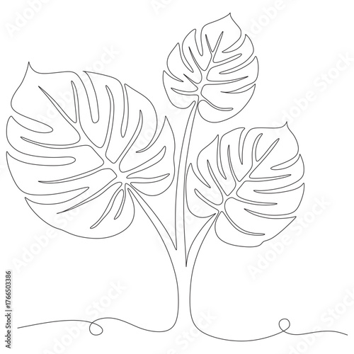 three monstera line art