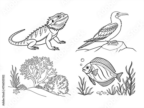 coloring page line art the animal black vector bundle