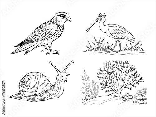 coloring page line art the animal black vector bundle