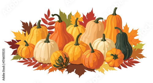 Assorted pumpkins and gourds displayed with autumn leaves for harvest season.