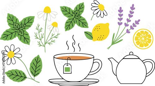 Herbal Tea Ingredients Collection Hot Beverage Cup Steam Lemon Lavender Chamomile Mint Leaves Isolated Elements